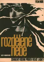 plakat filmu Podzielone niebo