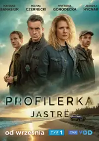 Plakat serialu Profilerka