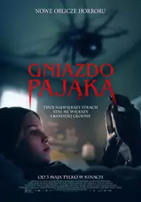 Gniazdo pająka