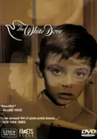 plakat filmuBiała gołębica