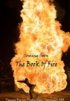plakat filmu Book of Fire