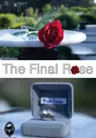 Eryn McBride / The Final Rose