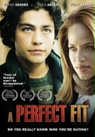 plakat filmu A Perfect Fit