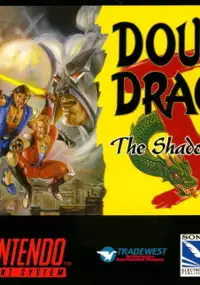 Plakat gry Double Dragon V: The Shadow Falls