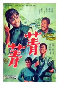 Plakat filmu Jing jing