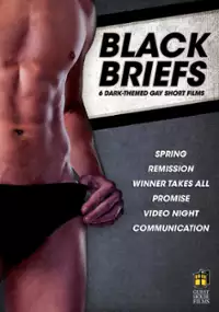 Plakat filmu Black Briefs