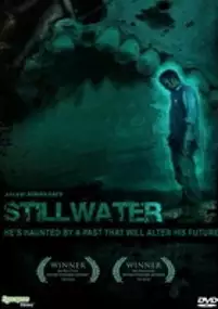 Plakat filmu Stillwater