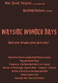 Plakat filmu Wayside Wonder Days