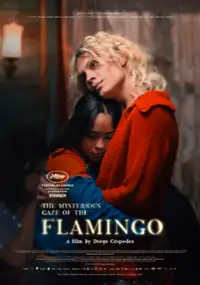 Tajemnicze spojrzenie flaminga