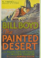 plakat filmu Malowana pustynia