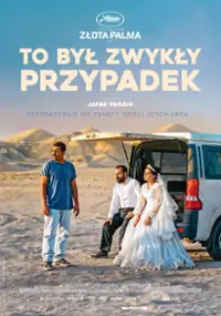 Plakat filmu "To był zwykły przypadek"