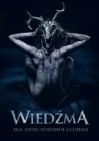 plakat filmu Wiedźma