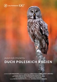 Puszczyk mszarny. Duch poleskich bagien