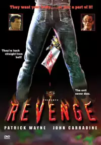 Plakat filmu Revenge