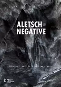 Plakat filmu Aletsch Negative