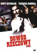 plakat filmu Dowód rzeczowy