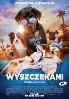 plakat filmu Wyszczekani