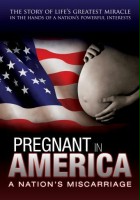 plakat filmu Pregnant in America