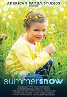 plakat filmu Summer Snow