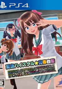 Plakat gry Natsuiro High School: Seishun Hakusho