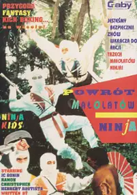 Plakat filmu Powrót małolatów ninja