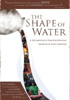 plakat filmu Kształt wody