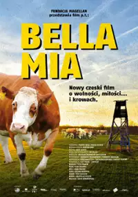 Plakat filmu Bella Mia