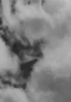 Peter B. Hutton / New York Portrait, Chapter II