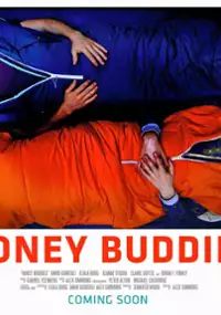Plakat filmu Buddymoon