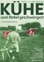 plakat filmu Kühe, vom Nebel geschwängert