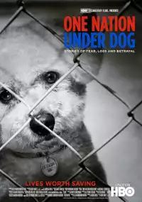 Plakat filmu Pieska Ameryka. Opowieści o lęku, stracie i zdradzie
