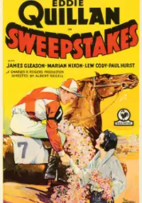 Plakat filmu Sweepstakes