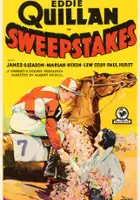plakat filmu Sweepstakes