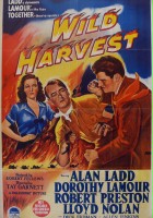 plakat filmu Wild Harvest