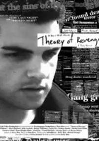 Plakat filmu Theory of Revenge