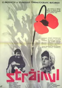 Plakat filmu Strainul