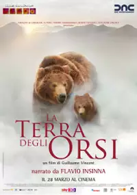 Plakat filmu Kraina niedźwiedzi