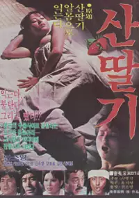 Plakat filmu Santtalgi