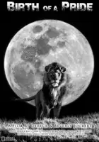 plakat filmu Narodziny lwiego stada