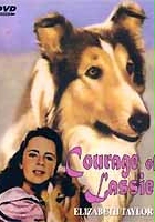 plakat filmu Odwaga Lassie