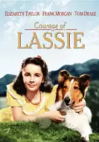 Robert Sisk / Odwaga Lassie