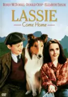 Charles P. Boyle / Lassie wr&oacute;ć