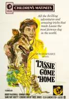 plakat filmu Lassie wr&oacute;ć