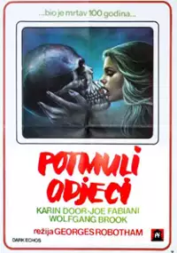 Plakat filmu Dark Echo