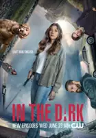 plakat - In the Dark (2019)
