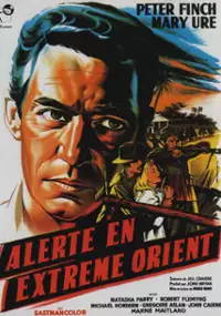 Plakat filmu Windom's Way
