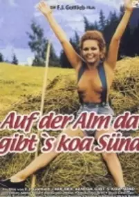 Plakat filmu Auf der Alm, da gibt's koa Sünd'