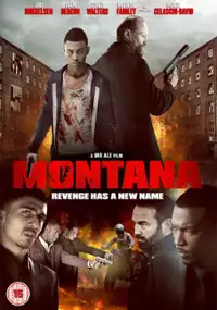 Plakat filmu Montana
