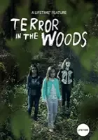 plakat filmu Terror in the Woods