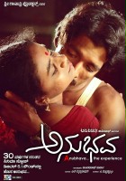 plakat filmu Anubhava